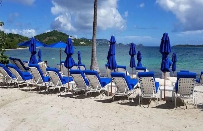 Ritz Carlton - Foto 40