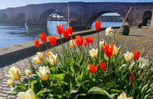 18 Mill Wharf Apartment - Foto 37