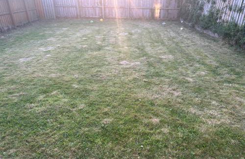 Daves Cave - Foto 18