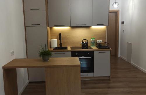 Centrum Konferencyjno-Noclegowe - Foto 16