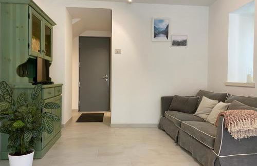 Piano terra con esterno privato vicino a Pinzolo - Foto 32