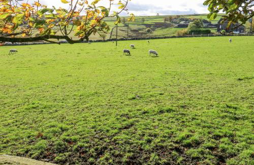 Prospect Cottage - Foto 24