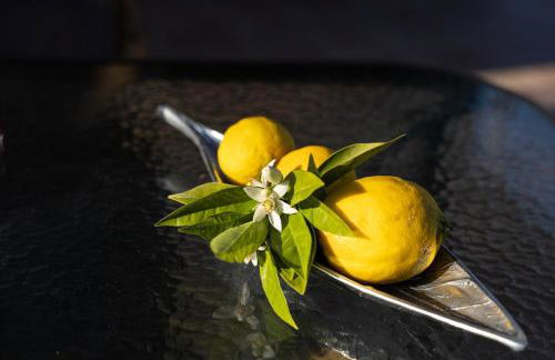 Casa Renta - Foto 32