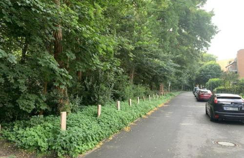 Am Nordglacis - Foto 19