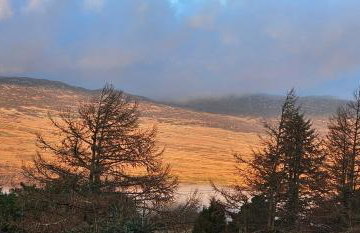 Log Cabin - Free Parking, Garden & pet Friendly - Foto 20