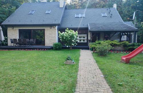 FORREST DOM w LESIE - Foto 1