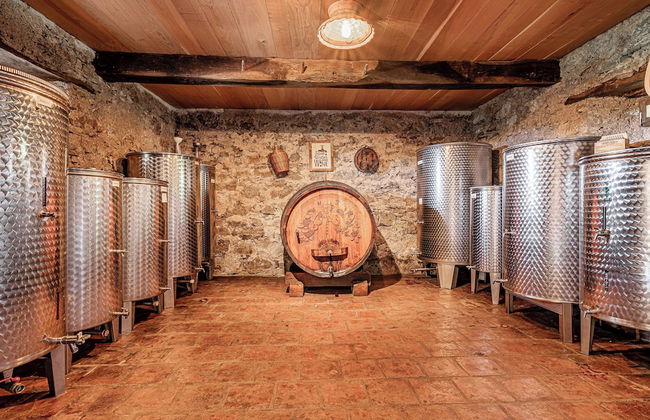 Vineyard Cottages Škatlar - Foto 44