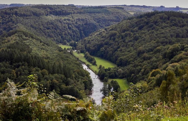 Cozy Luxembourg Apartment - Foto 40