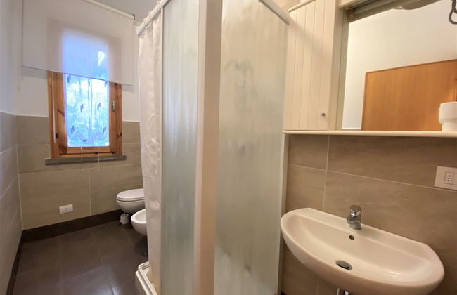 Pineforest - Foto 15