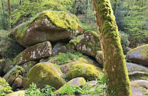 Lumière et Confort en Centre Ville - Foto 25