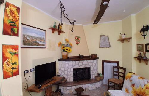 Il girasole - Foto 8