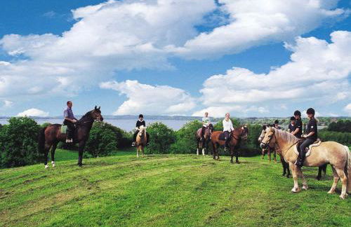Ponyhof Naeve am Wittensee - Foto 4