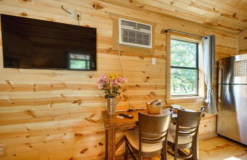 Pet-Friendly Johnson City Studio with Inspiring View - Foto 8