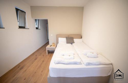 Colakation - Foto 36