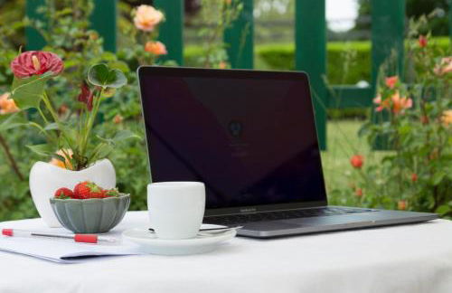 White Tail Organic Farm - Foto 7