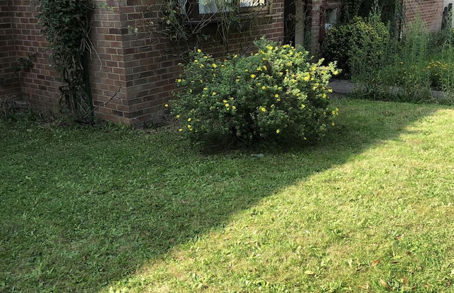 Nice 3-bed House in Farnham Royal Slough - Foto 14