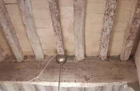 Sulla via Francigena - Foto 7