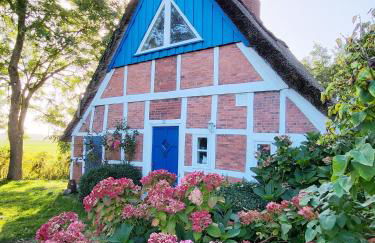 Die blaue Reetdachkate am Deich - Photo 1