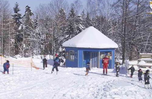 Holiday Home Hohenbogenwinkel by Interhome - Foto 14