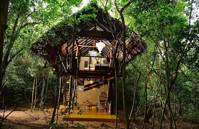 Back of Beyond - Pidurangala - Photo 28