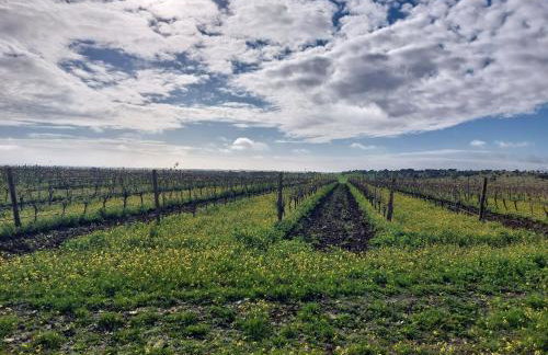 Wine under the Stars - Foto 61