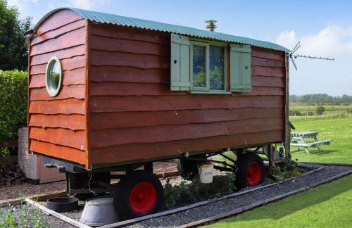 Glan Tywyn Shepherds Hut - Foto 7