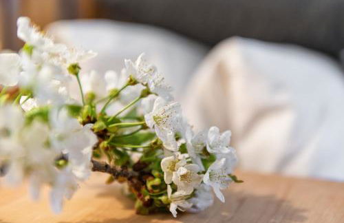 Landhaus Fux - Foto 11