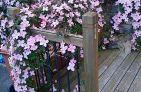 Inveravon Holiday Home - Foto 26