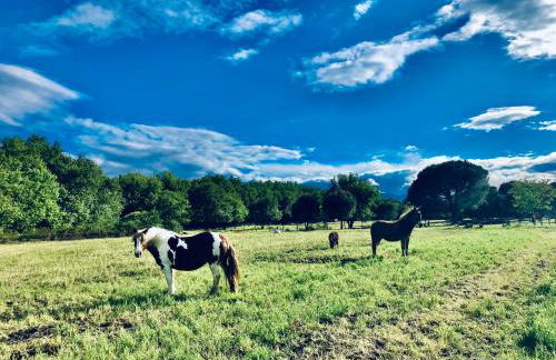 Le Mas des Alberes Piscine privative proche mer et Collioure, climatisation, parking ,WiFi - Foto 33