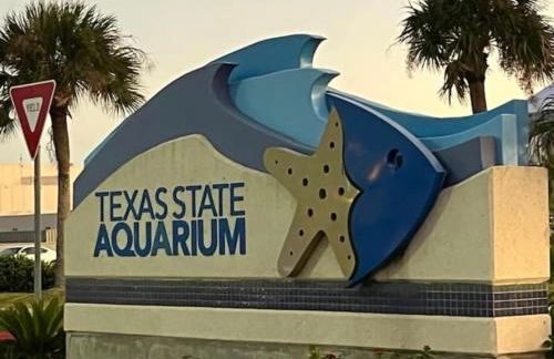 Corpus Christi North Beach Cozy Condo, 2 Heated pools and Balcony Ocean Views! - Foto 43