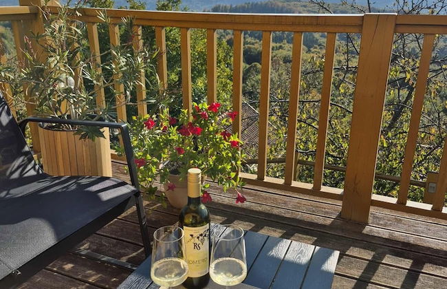 Vineyard cottage Stopar - Foto 14