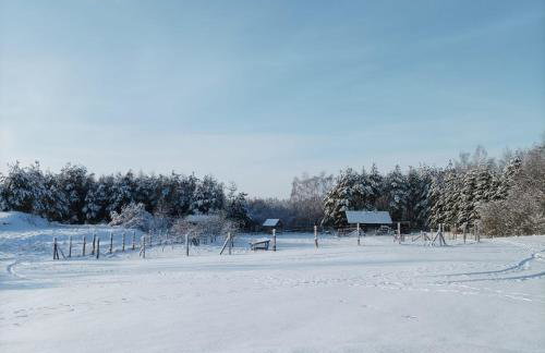 Siedlisko Pili Pili - Foto 3