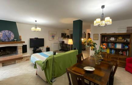 The Wild Lavender - Foto 13