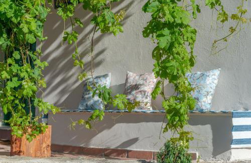 Sempreviva - Foto 63