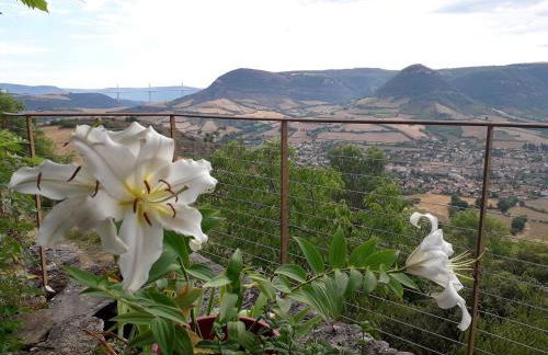 Maison charmante à Saint-Georges-de-Luzençon avec jacuzzi - Foto 13