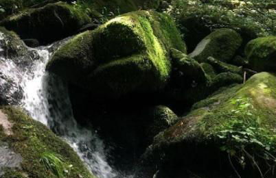 Traumblick Bayerischer Wald, Pool & Sauna, Getränke, Klimaanlage - Foto 35