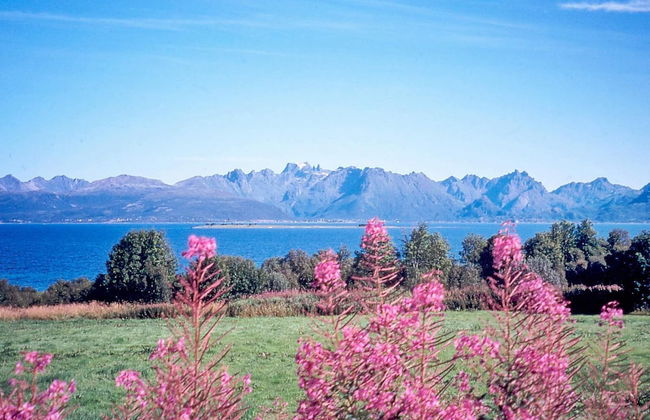 6 Person Holiday Home in Alsvag-by Traum - Photo 16