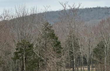 Luxury Mtn Log Home- Sevier Lodge at May Ridge - Foto 8