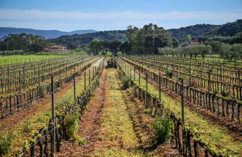 Agriturismo Ristorante Monte Argentario - Foto 98