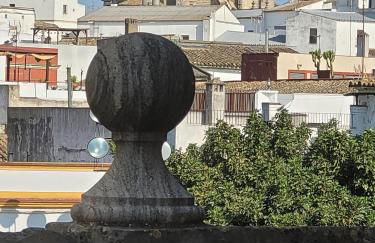 Jerez Centro Historico - Foto 45