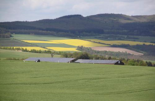 fewogriebelschied - Foto 8