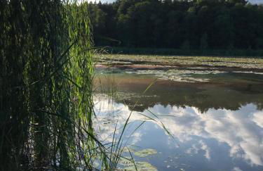 Villa Kersdorf - Foto 27