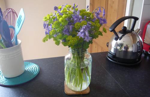 Thornton Farm Cottages - Foto 23