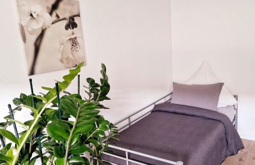 Holle - Land Holidays, parterre Ferienwohnung - Foto 24