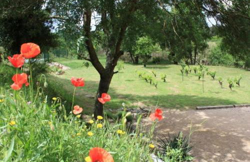 Cottage in France Near Hiking Trails - Foto 45