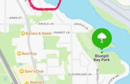 Bliss on the Lake - Photo 5