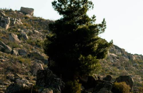 Quinta do Chãozinho - Photo 21