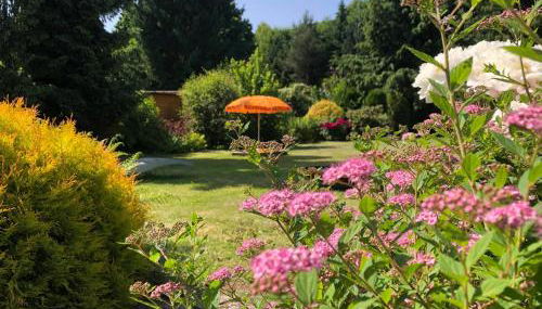 Idas Garten - Foto 2, Garden