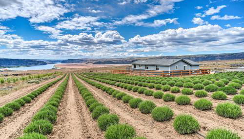 Quincy Home on Lavender Farm with River Views! - Foto 1