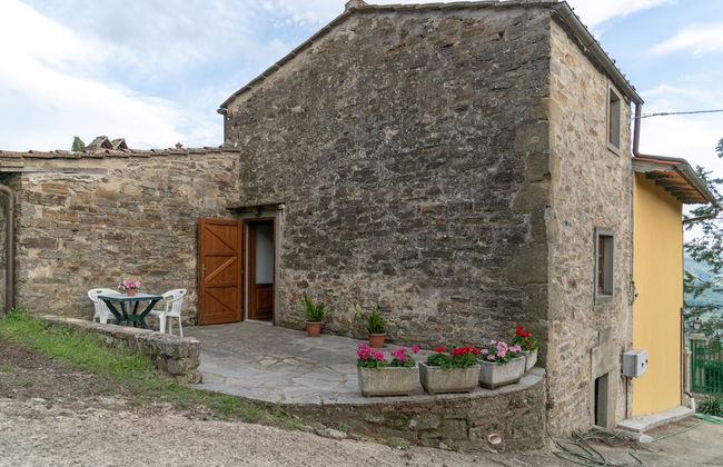 Fattoria di Cintoia - Photo 39